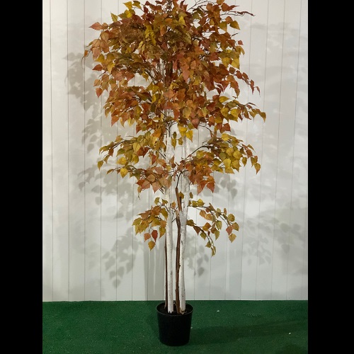 Birch Tree with Fall Foliage 7' - Artificial Trees & Floor Plants - Artificial autumn trees for rent